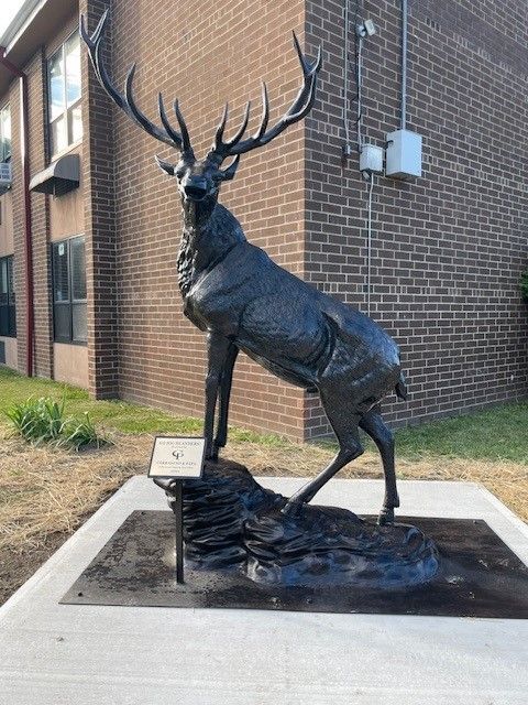 Deer_1